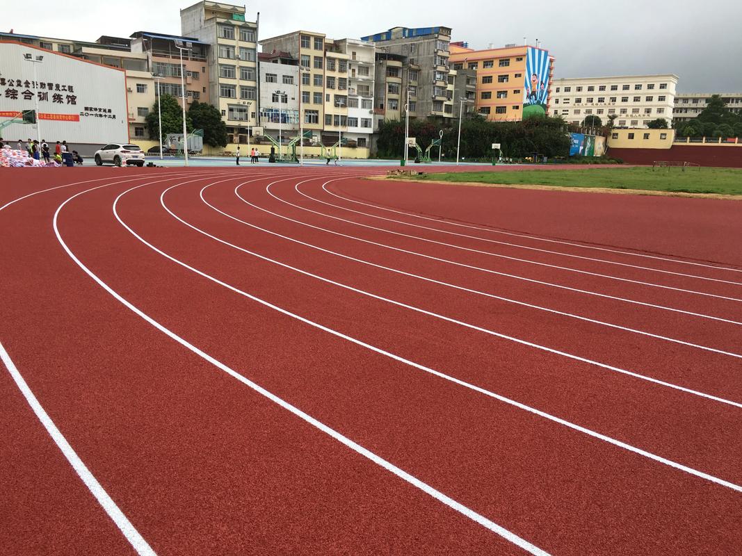 北海市EPDM颗粒塑胶跑道材料 - 厂家